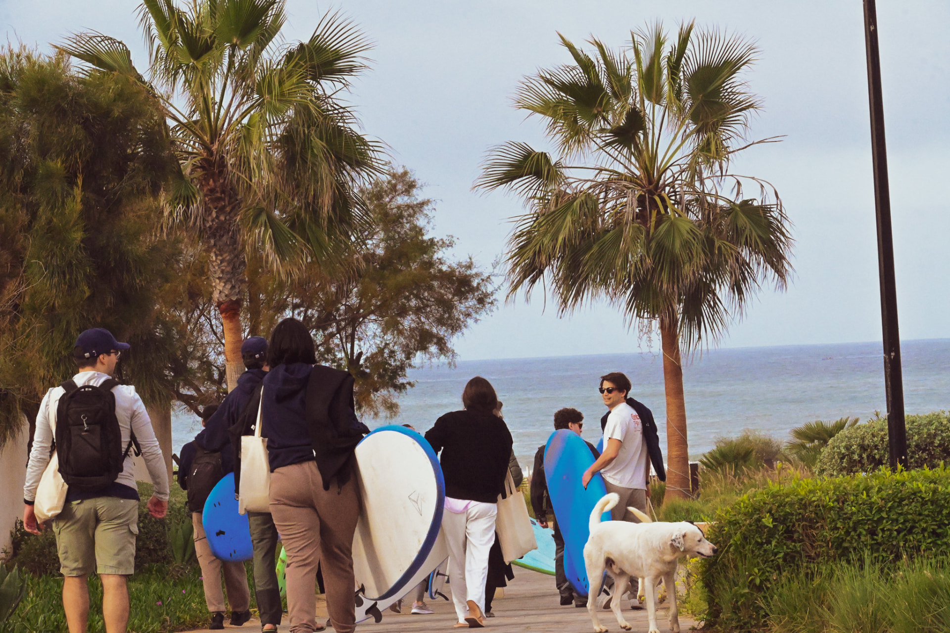Il team Klaaryo con le tavole da surf durante un retreat sul mare